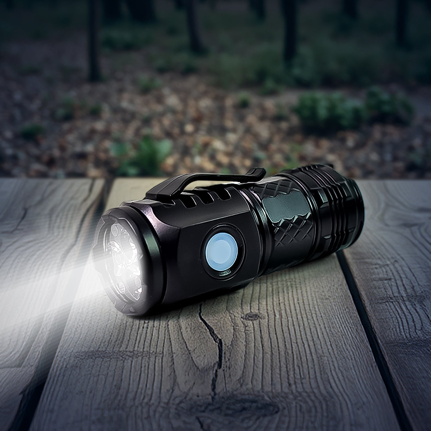 BeamPro Mini BeamPro Mini